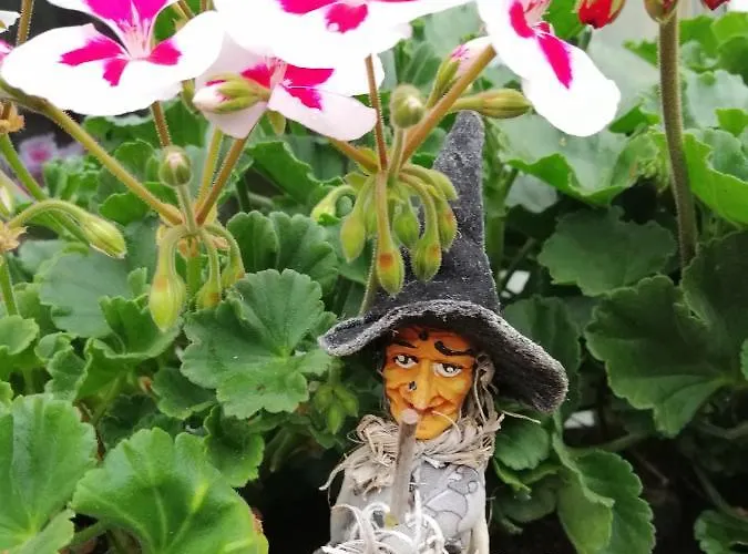 Apartman Usis_ferienwohnung Im Harz Quedlinburg